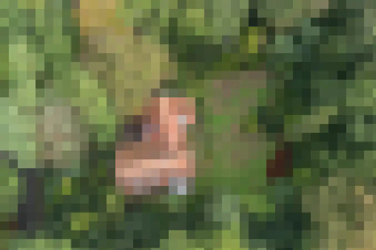 Van Alphenlaan 3 Aerdenhout thumbnail 9