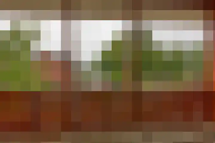 Van Alphenplein 94 Leiderdorp thumbnail 13