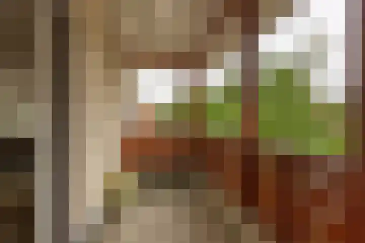 Van Alphenplein 94 Leiderdorp thumbnail 14