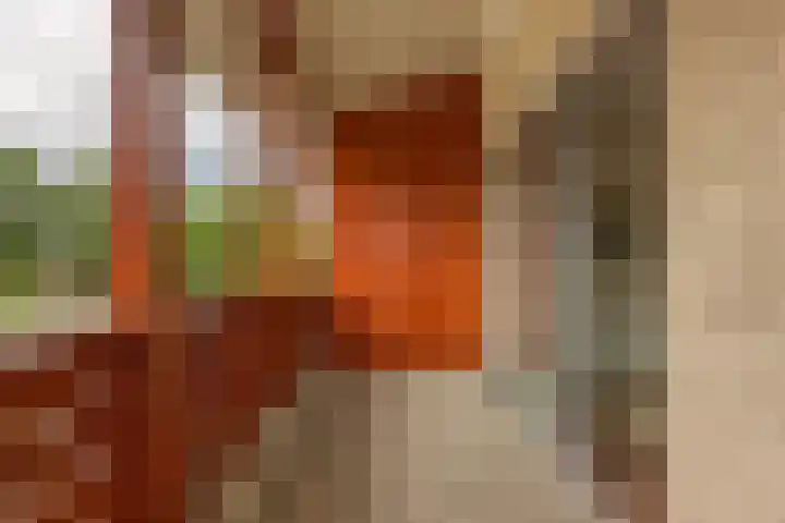 Van Alphenplein 94 Leiderdorp thumbnail 15