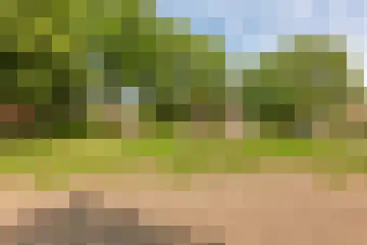 Van Alphenplein 94 Leiderdorp thumbnail 27