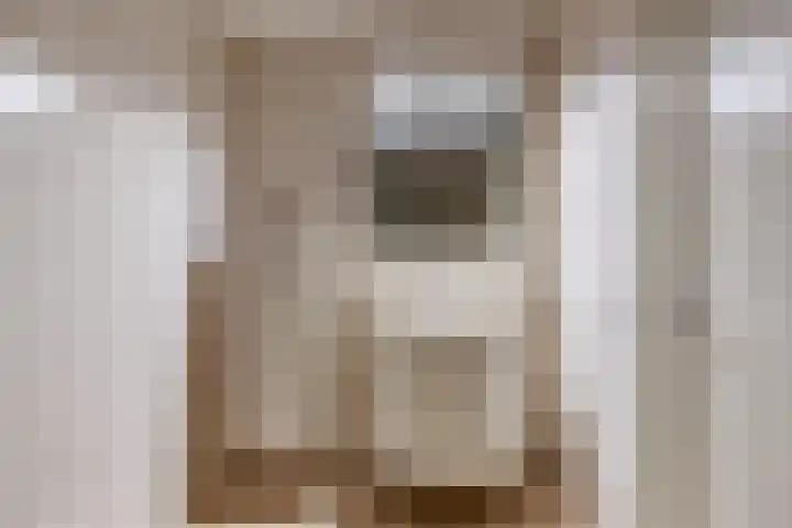 Van Alphenplein 94 Leiderdorp thumbnail 5