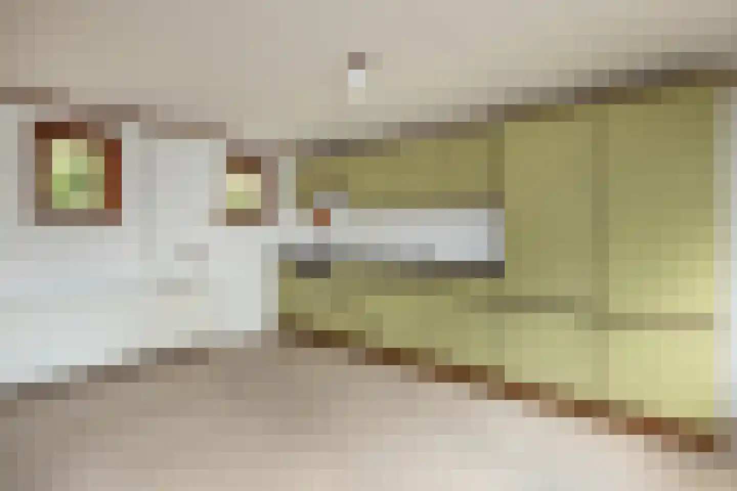 van Alphenstraat 1 B Hengelo thumbnail 15
