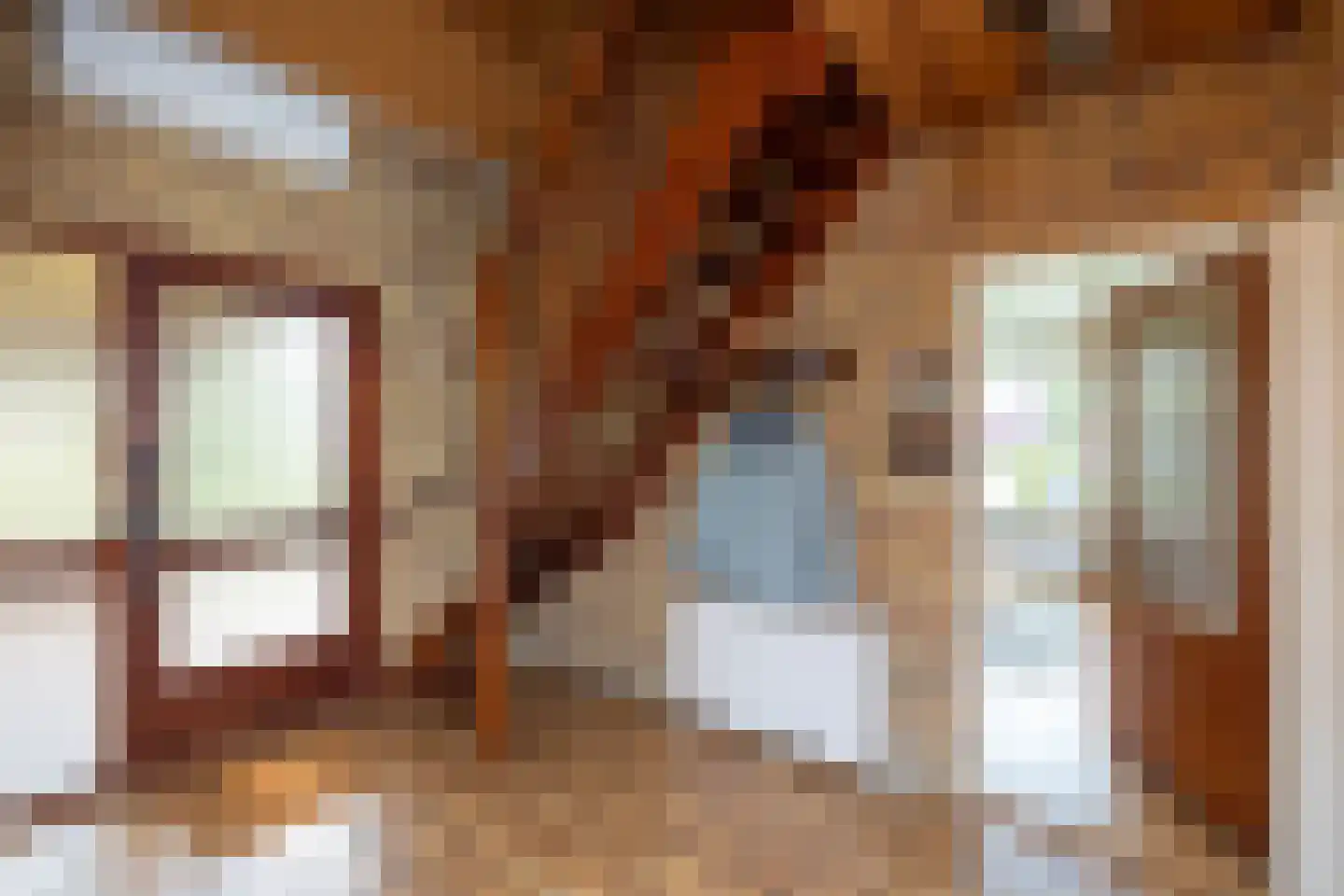 van Alphenstraat 1 B Hengelo thumbnail 18