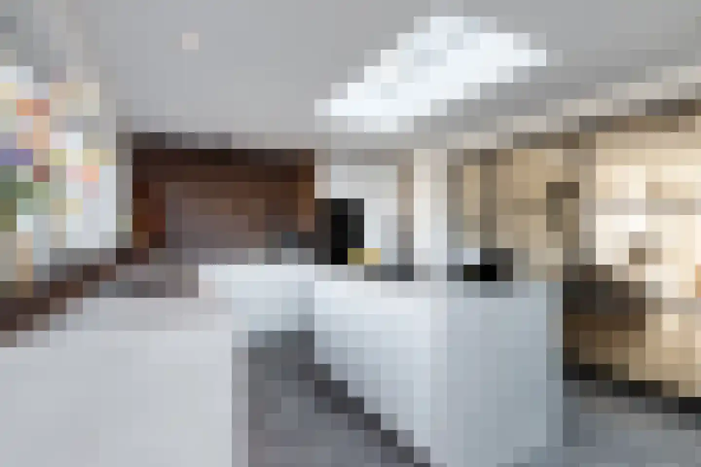 Van Alphenstraat 10 Westbroek thumbnail 10