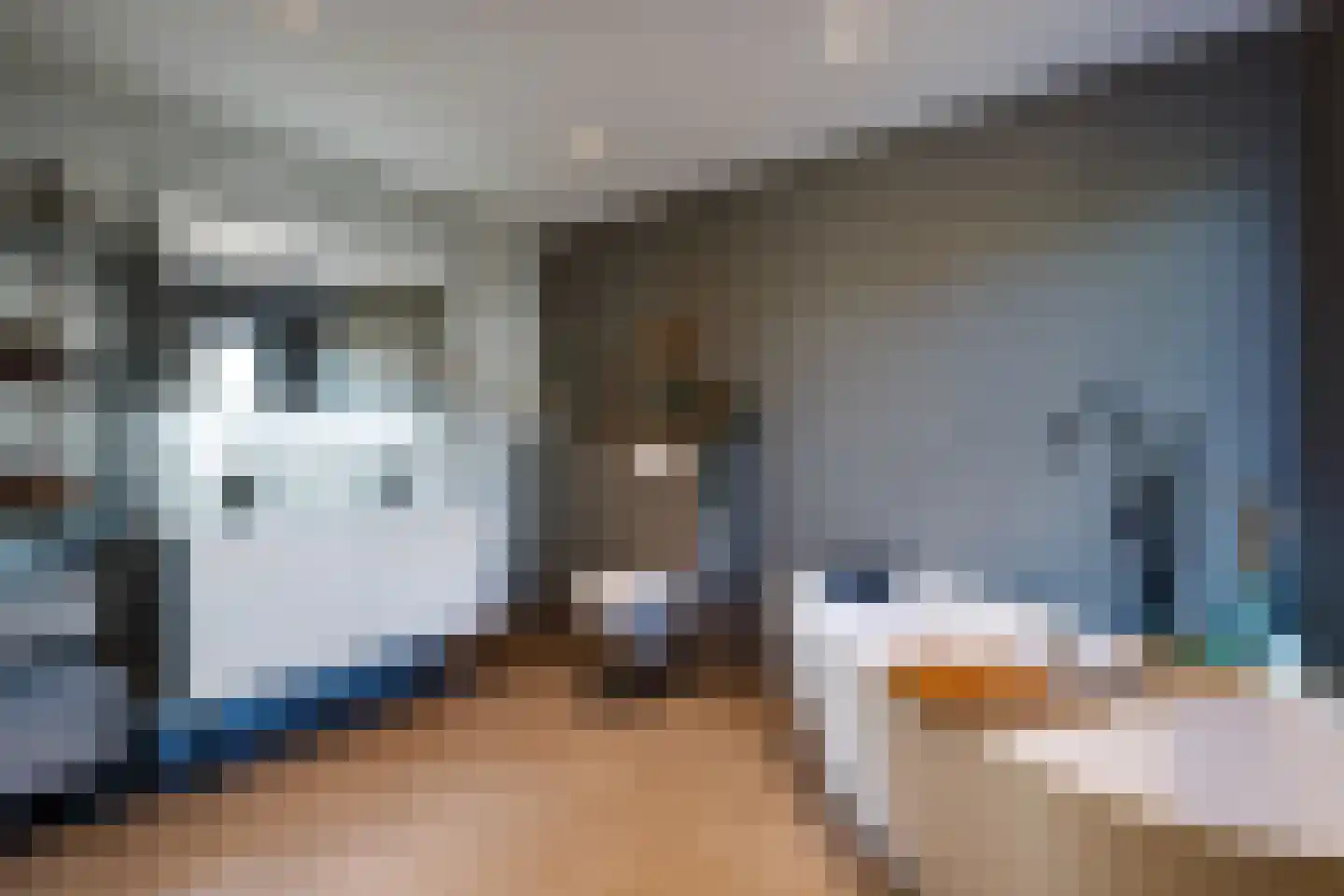 Van Alphenstraat 10 Westbroek thumbnail 25