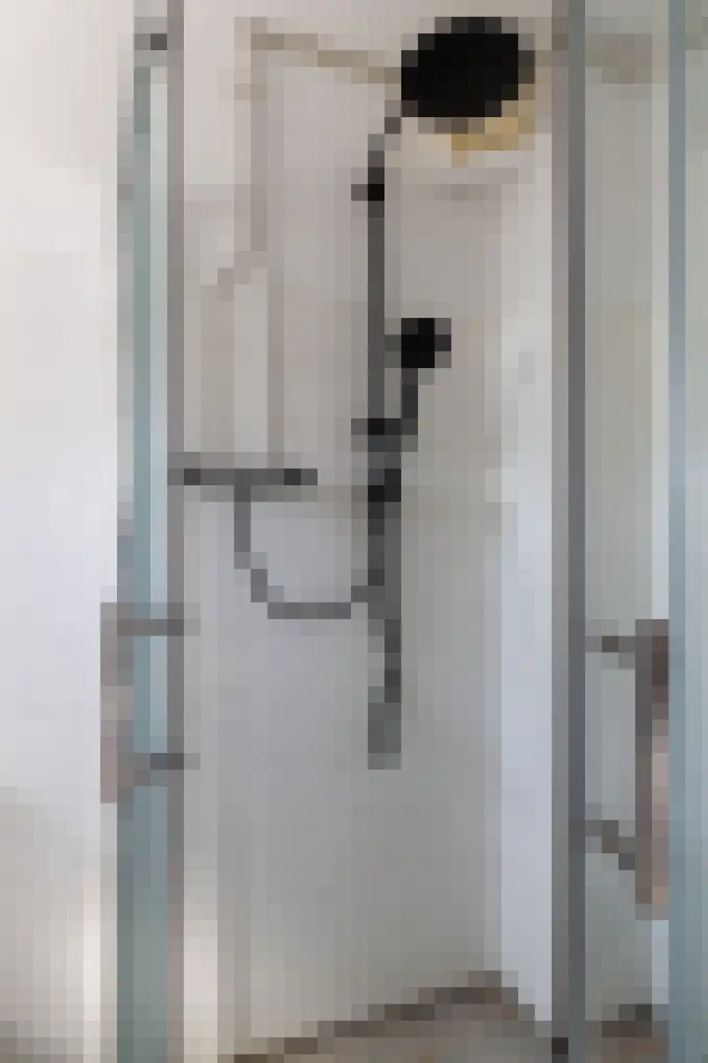 Van Alphenstraat 10 Westbroek thumbnail 34