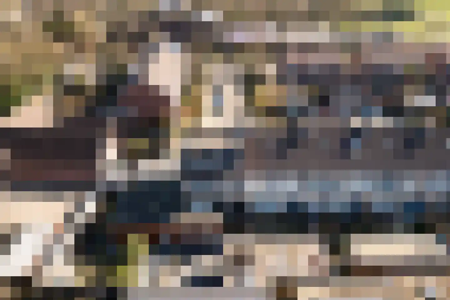 Van Alphenstraat 10 Westbroek thumbnail 38