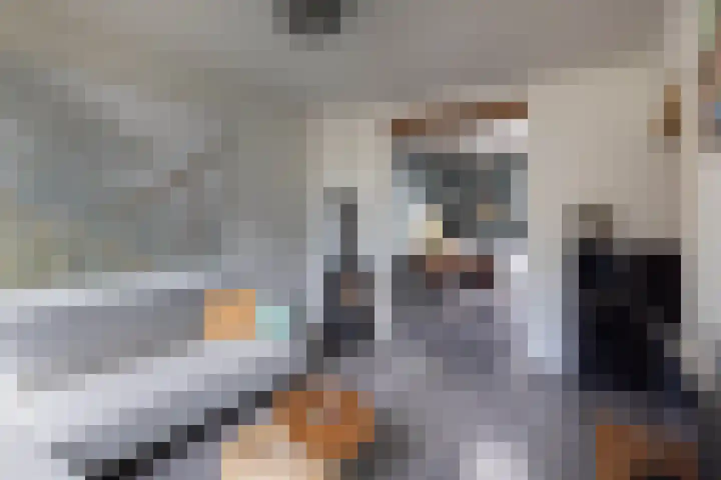 van Alphenstraat 11 Hengelo thumbnail 10