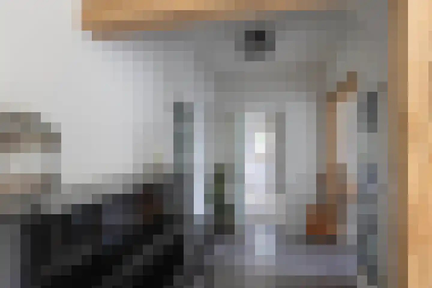 van Alphenstraat 11 Hengelo thumbnail 12