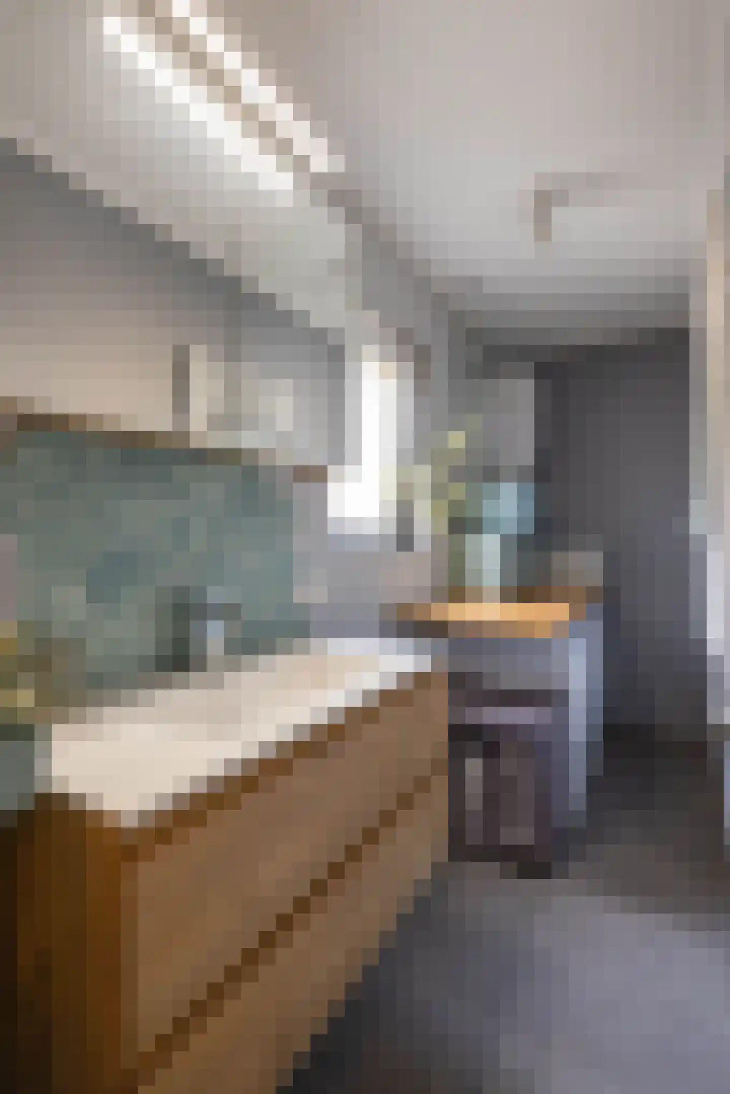 van Alphenstraat 11 Hengelo thumbnail 17