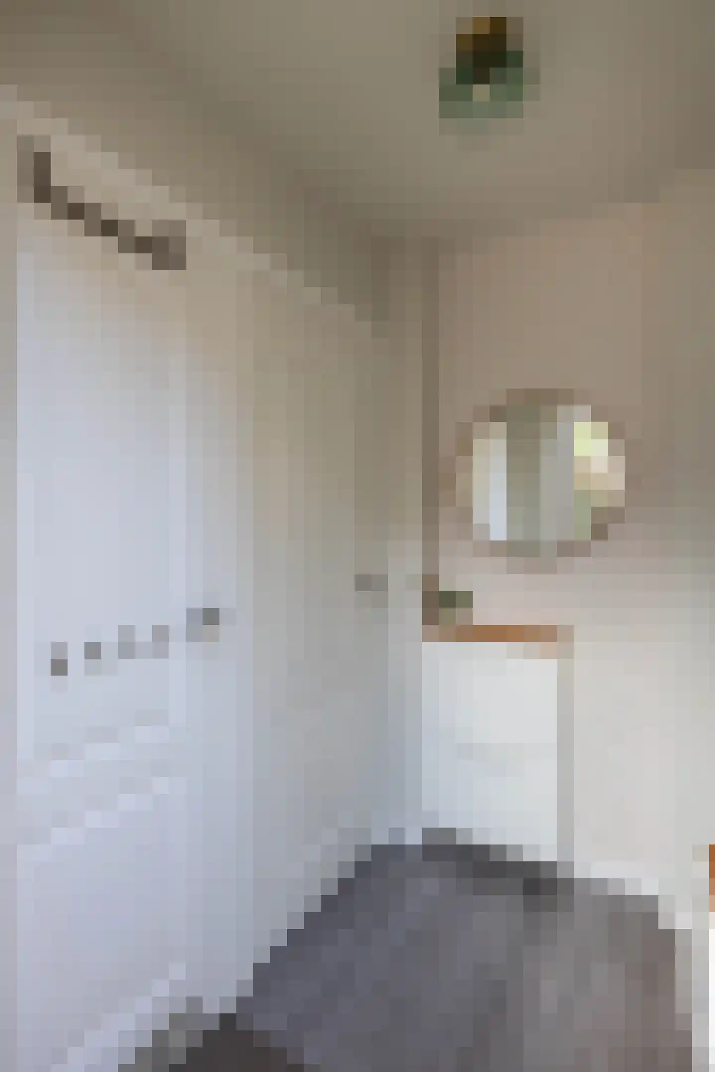 van Alphenstraat 11 Hengelo thumbnail 18