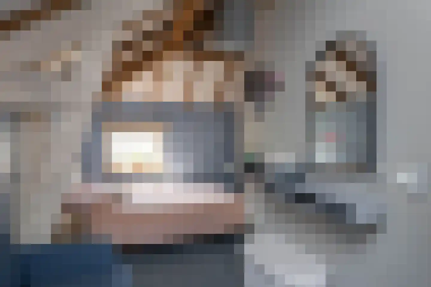 van Alphenstraat 11 Hengelo thumbnail 22