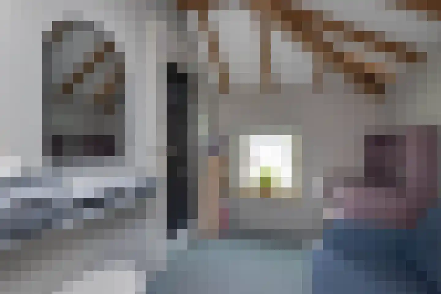 van Alphenstraat 11 Hengelo thumbnail 23
