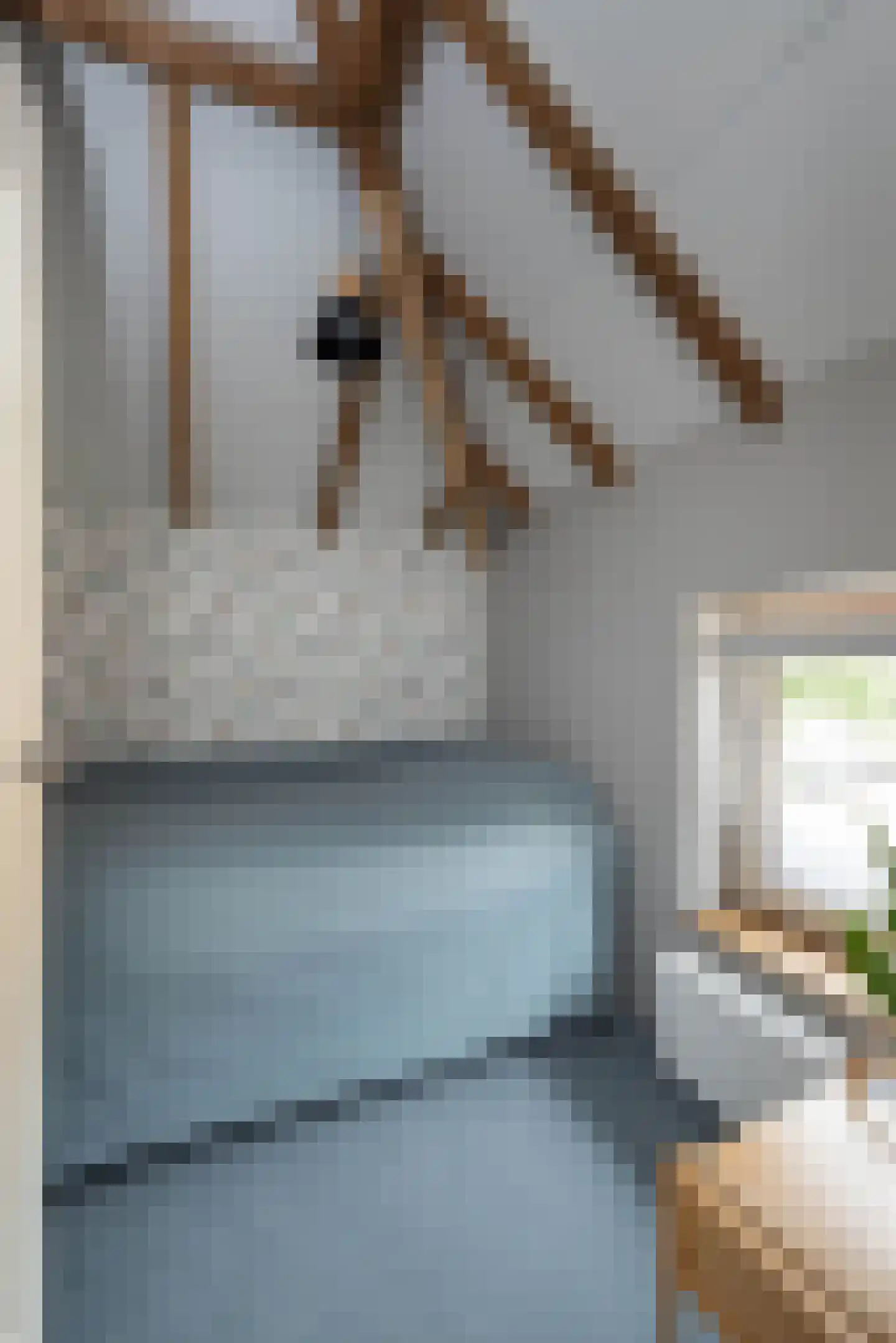 van Alphenstraat 11 Hengelo thumbnail 26