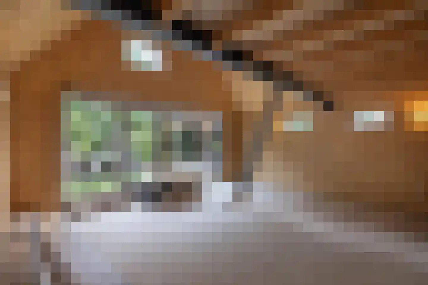 van Alphenstraat 11 Hengelo thumbnail 35
