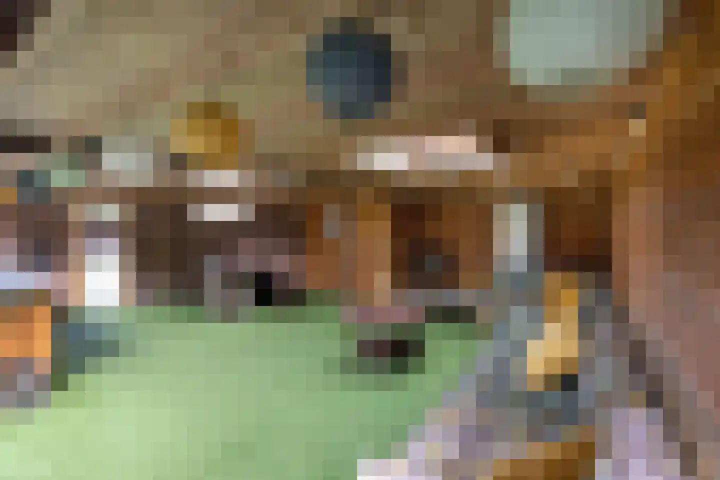 van Alphenstraat 11 Hengelo thumbnail 38