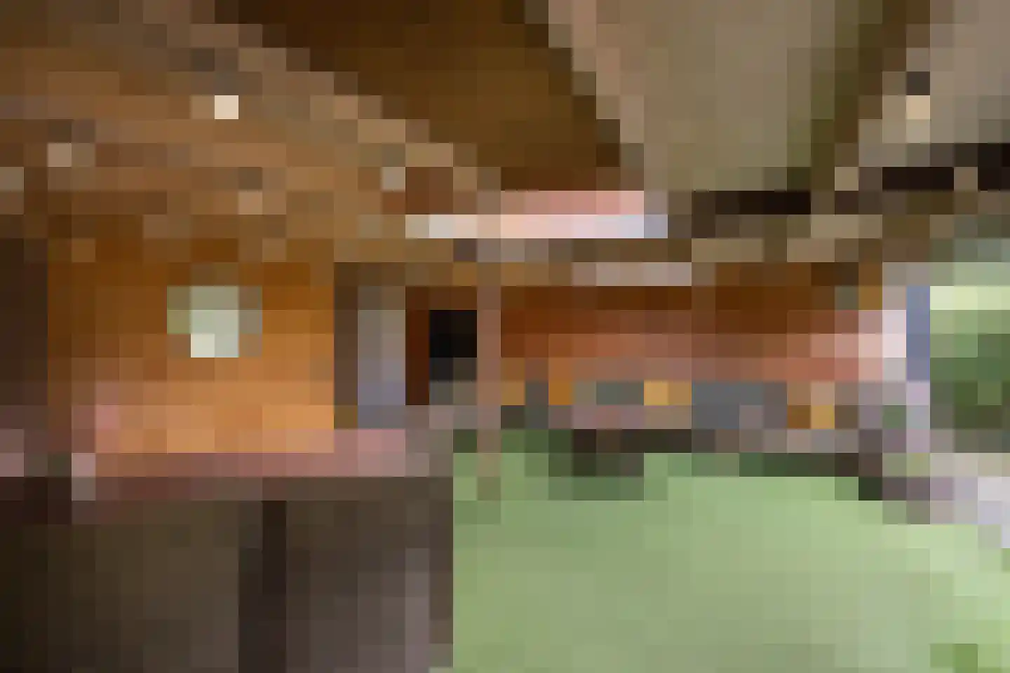 van Alphenstraat 11 Hengelo thumbnail 39