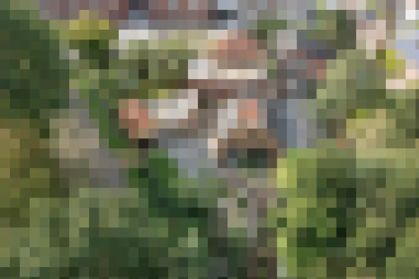 van Alphenstraat 11 Hengelo thumbnail 4