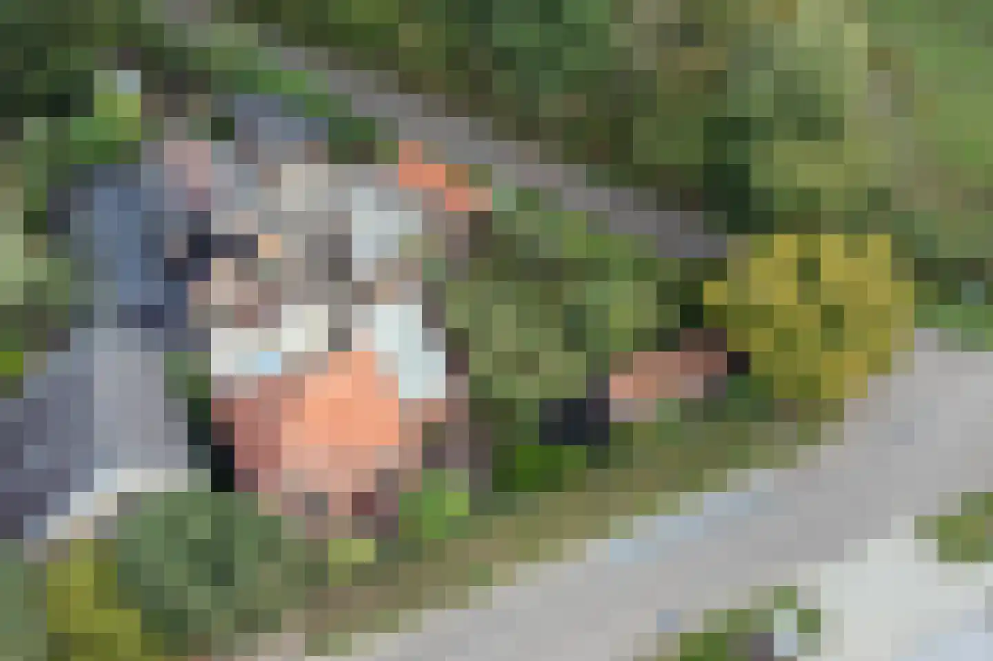 van Alphenstraat 11 Hengelo thumbnail 47