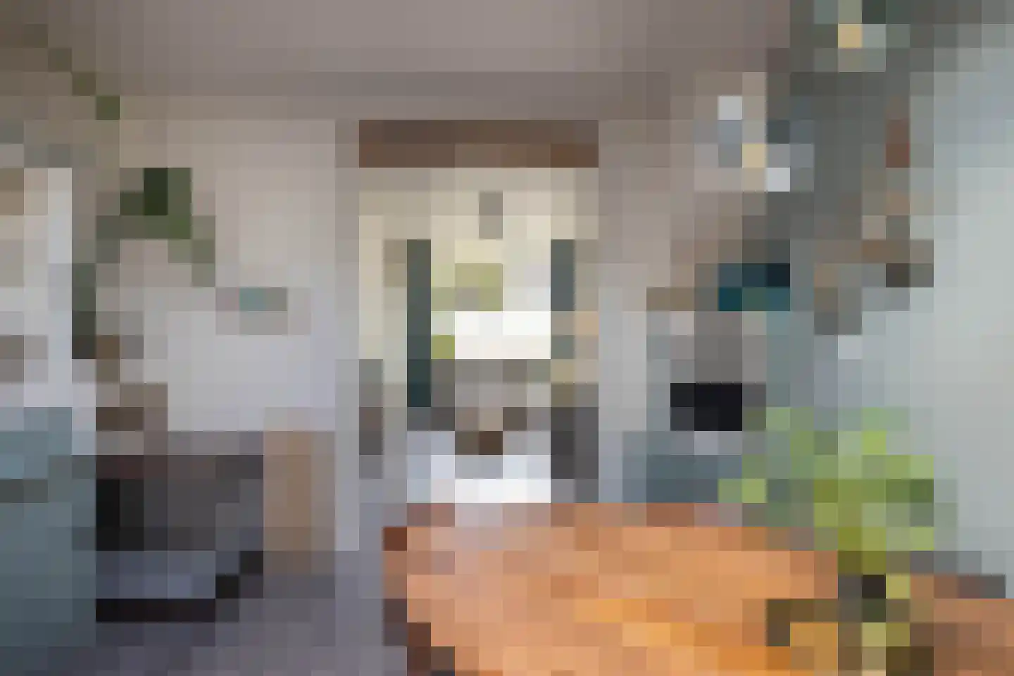 van Alphenstraat 11 Hengelo thumbnail 8