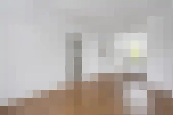 van Alphenstraat 115 Voorburg thumbnail 11