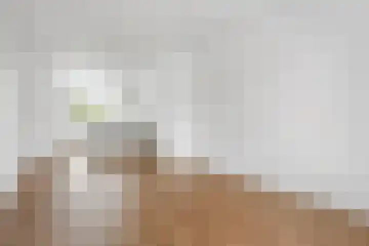 van Alphenstraat 115 Voorburg thumbnail 12