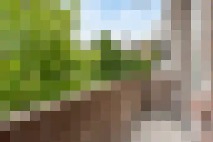 van Alphenstraat 115 Voorburg thumbnail 19