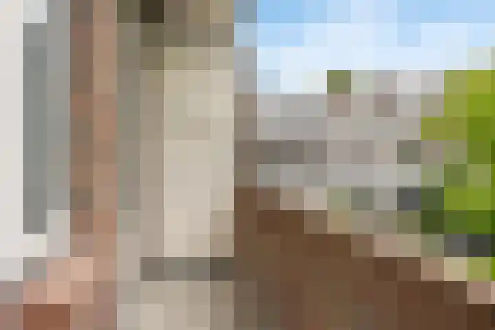van Alphenstraat 115 Voorburg thumbnail 20