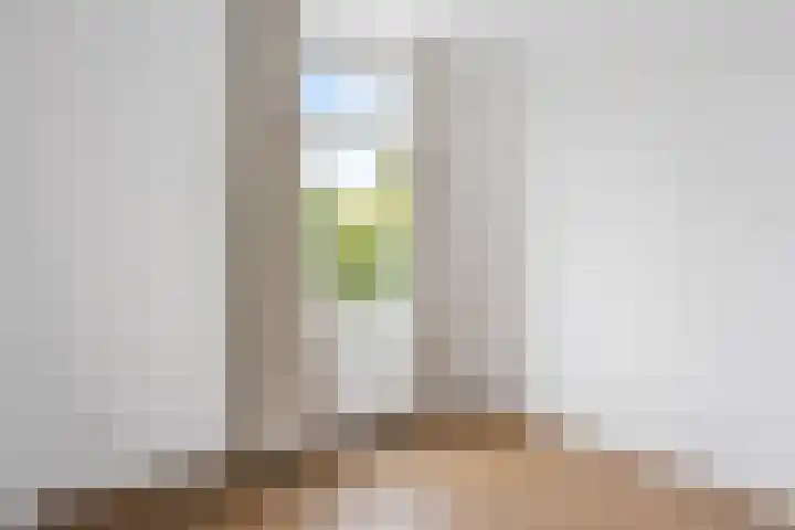 van Alphenstraat 115 Voorburg thumbnail 21