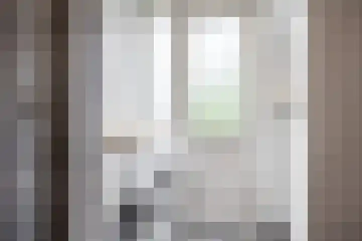 van Alphenstraat 115 Voorburg thumbnail 24