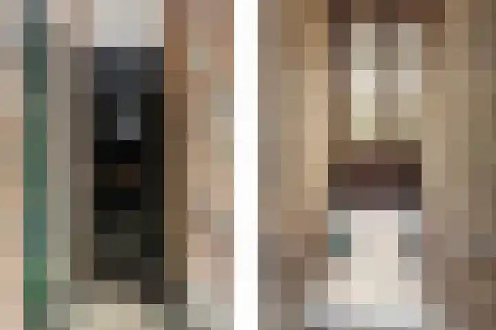 van Alphenstraat 115 Voorburg thumbnail 28