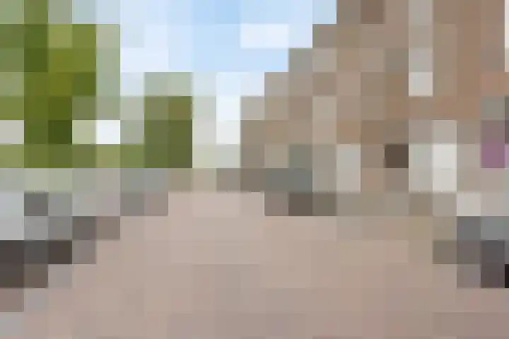 van Alphenstraat 115 Voorburg thumbnail 31