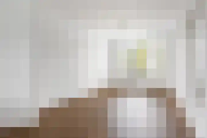 van Alphenstraat 115 Voorburg thumbnail 9