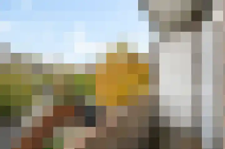 van Alphenstraat 118 Voorburg thumbnail 20