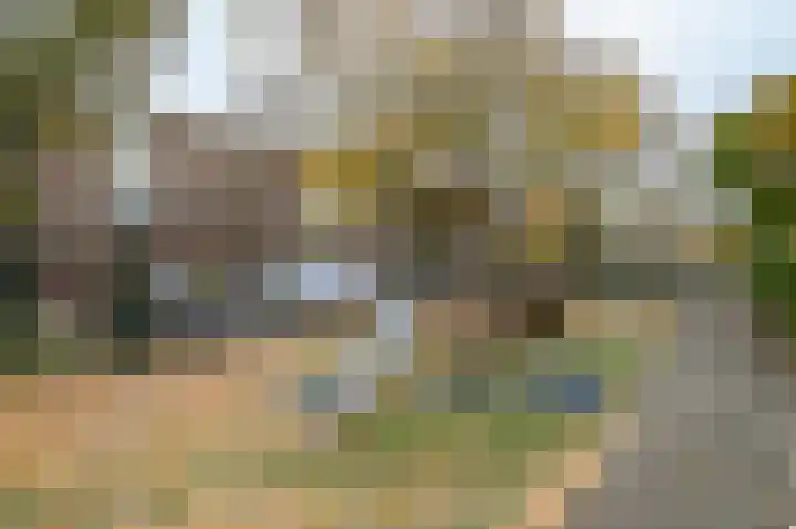 van Alphenstraat 118 Voorburg thumbnail 29