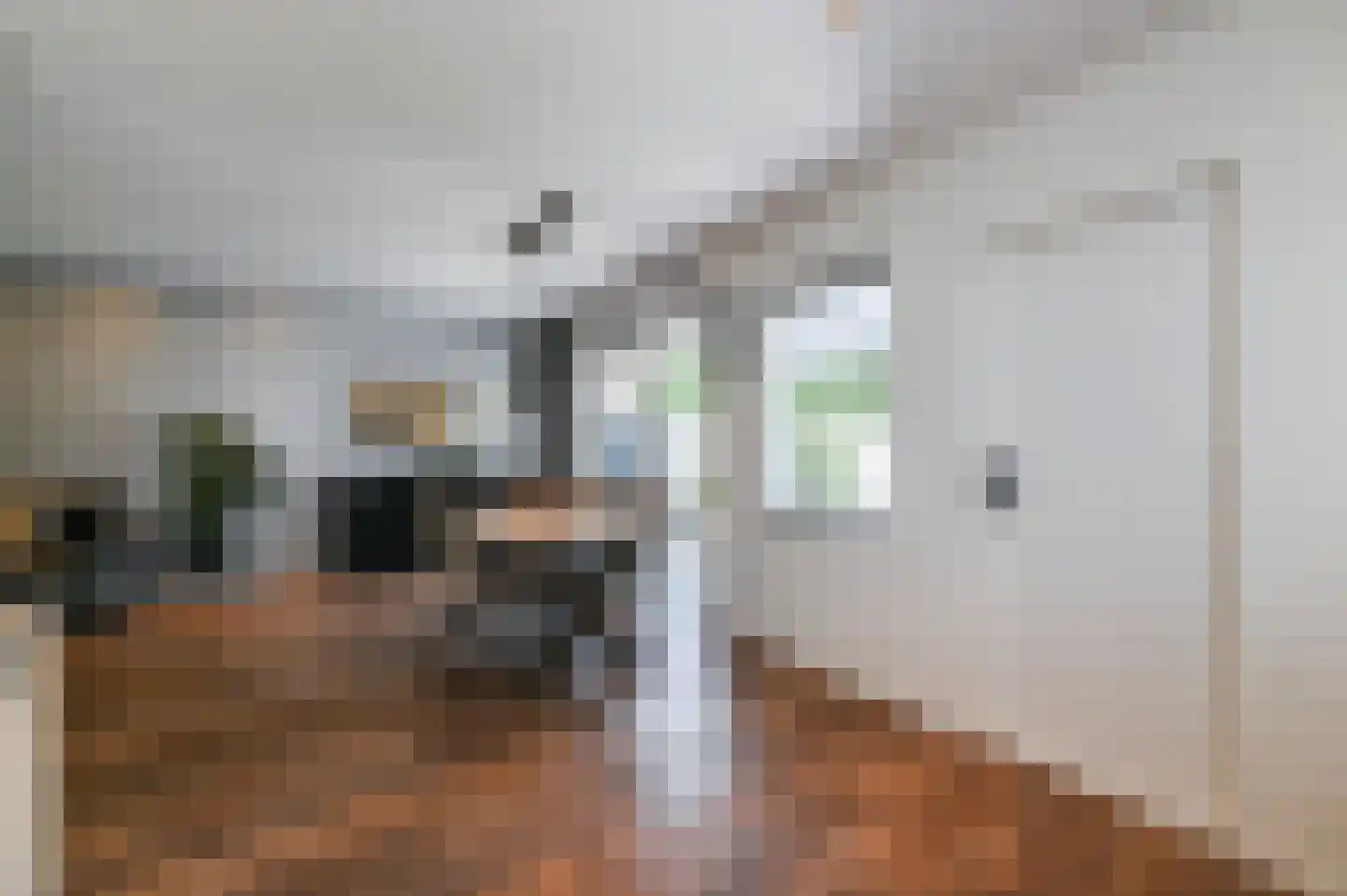 van Alphenstraat 22 Voorburg thumbnail 24