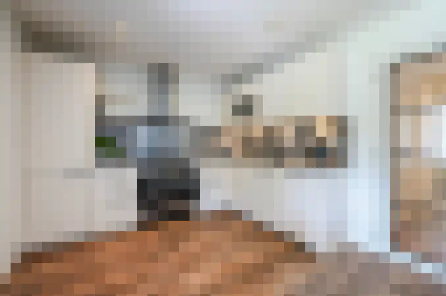 van Alphenstraat 22 Voorburg thumbnail 26