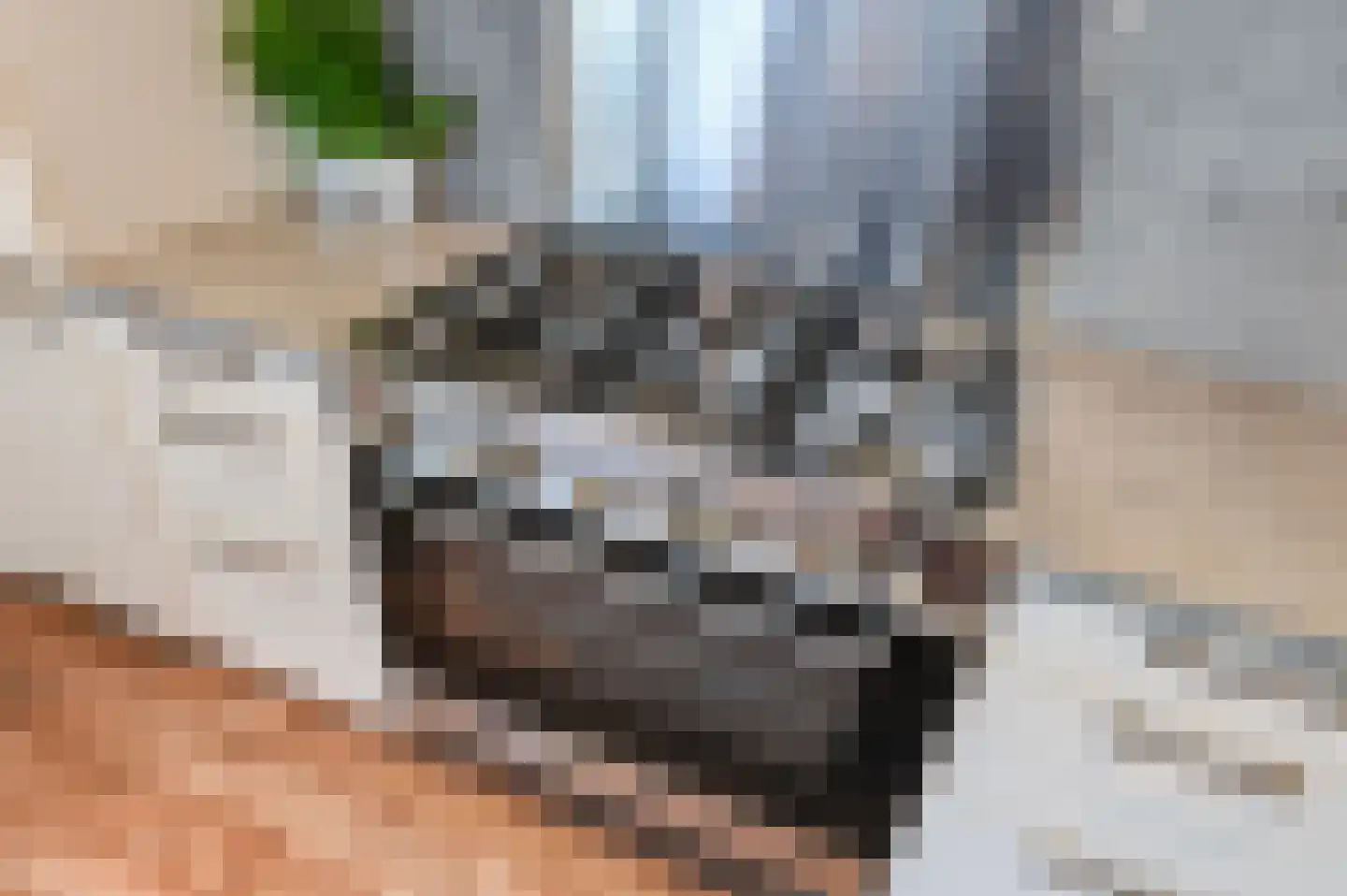 van Alphenstraat 22 Voorburg thumbnail 27