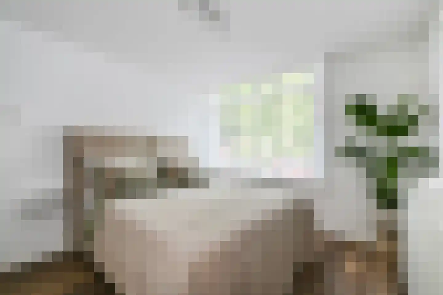 van Alphenstraat 22 Voorburg thumbnail 30