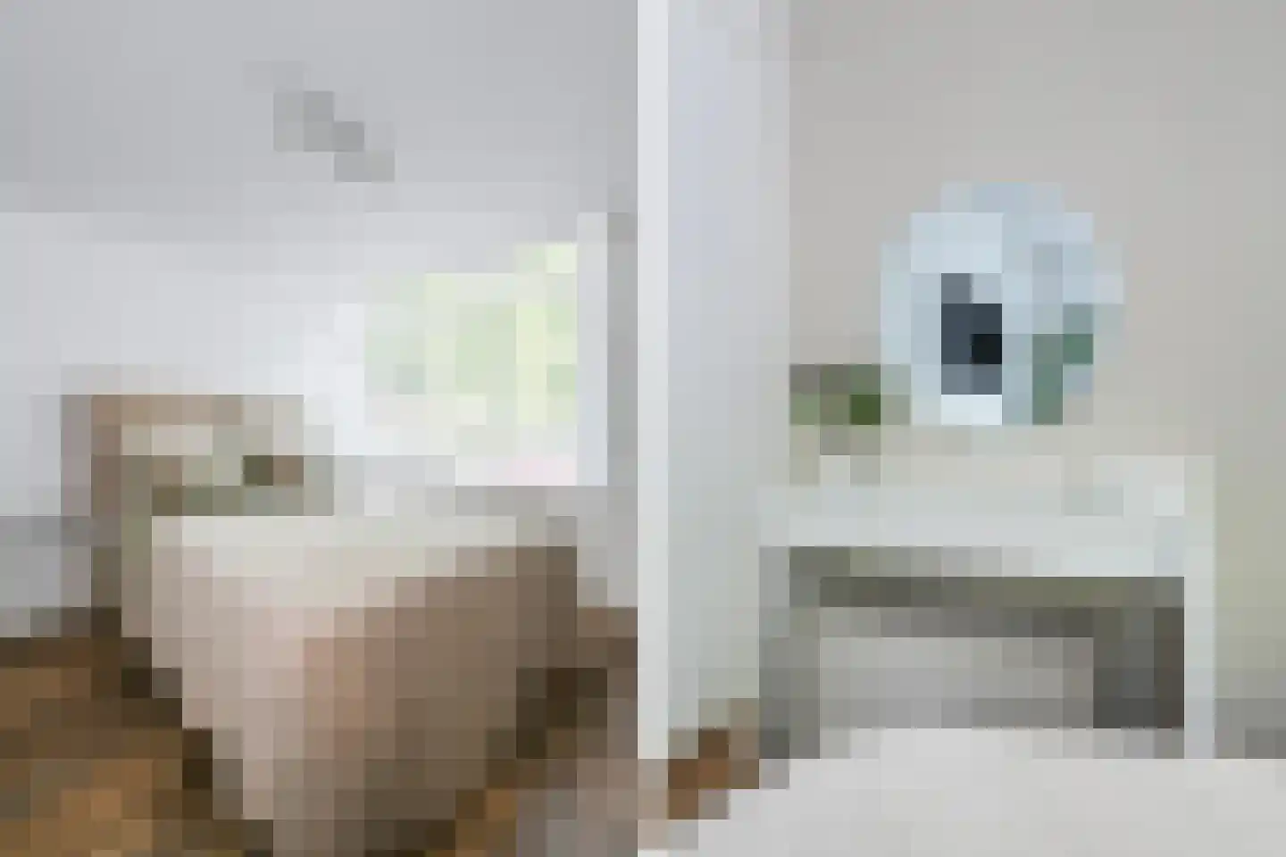 van Alphenstraat 22 Voorburg thumbnail 31
