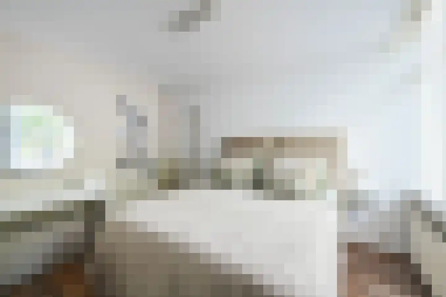 van Alphenstraat 22 Voorburg thumbnail 33