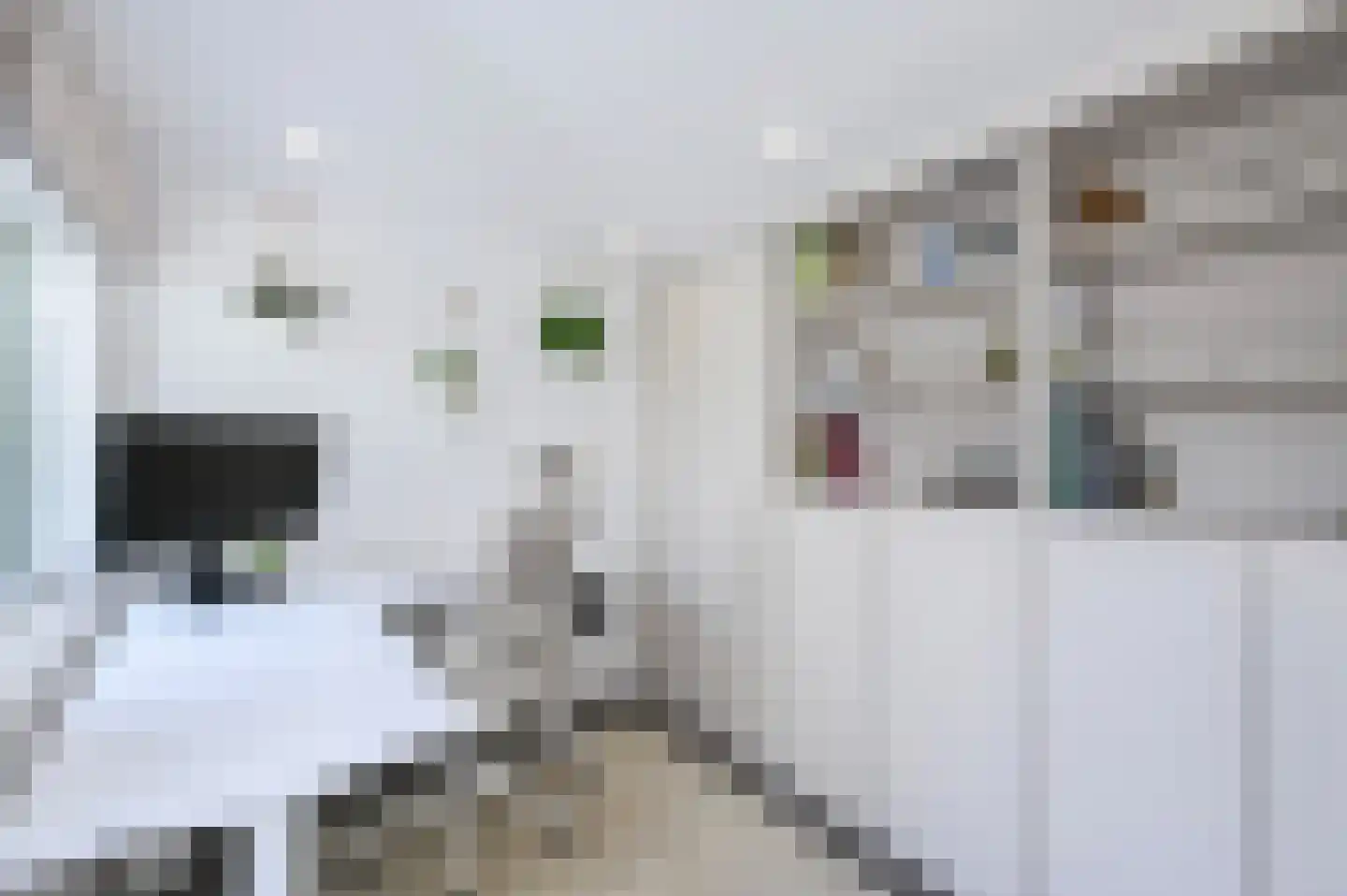 van Alphenstraat 22 Voorburg thumbnail 34