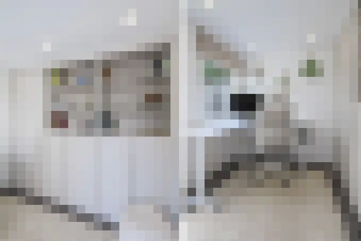 van Alphenstraat 22 Voorburg thumbnail 35