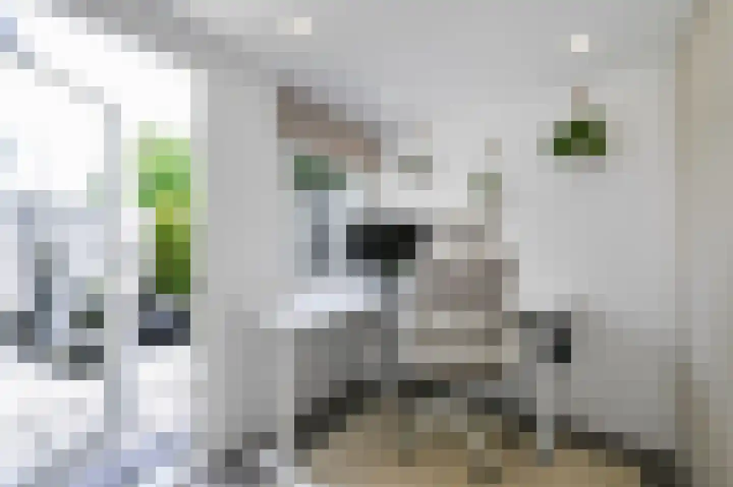 van Alphenstraat 22 Voorburg thumbnail 36