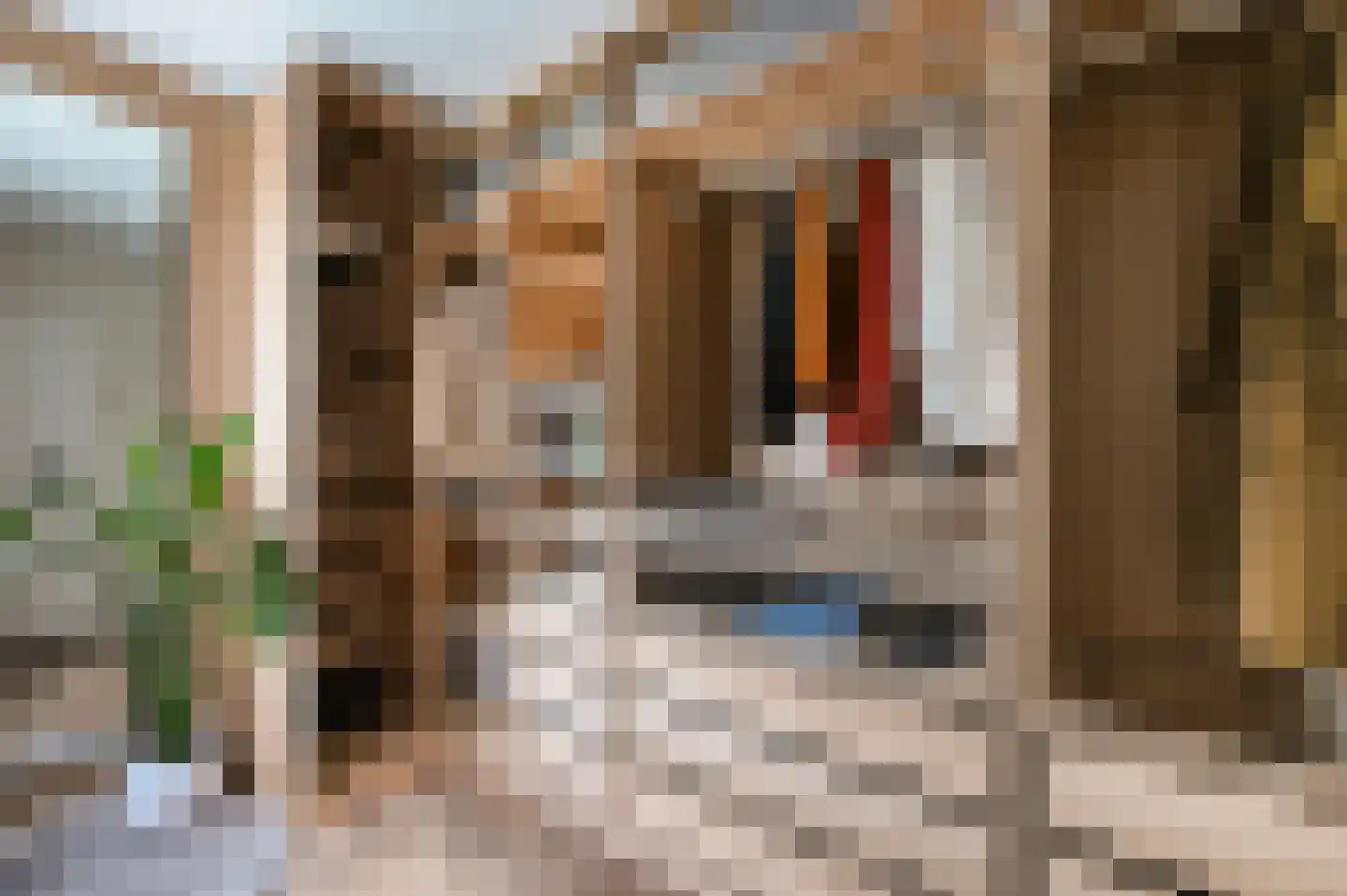 van Alphenstraat 22 Voorburg thumbnail 37