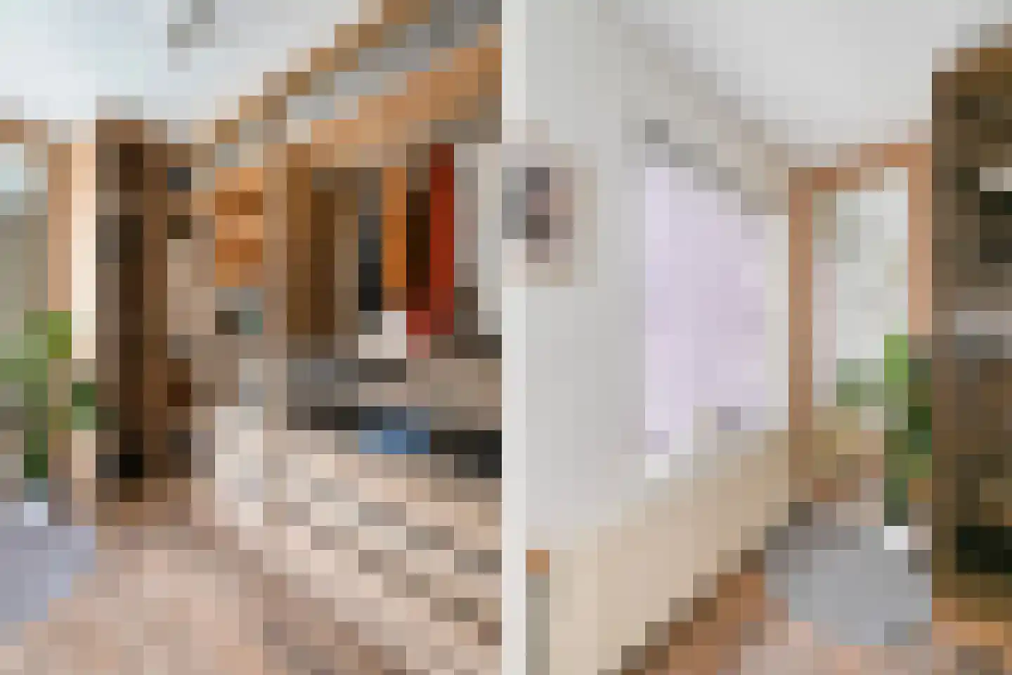 van Alphenstraat 22 Voorburg thumbnail 38