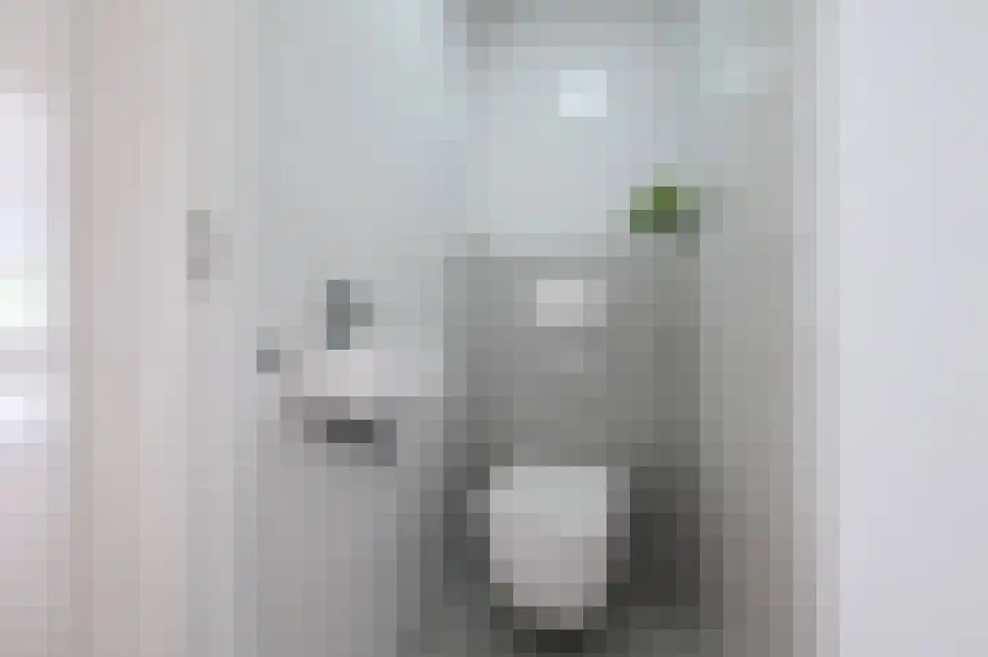 van Alphenstraat 22 Voorburg thumbnail 39