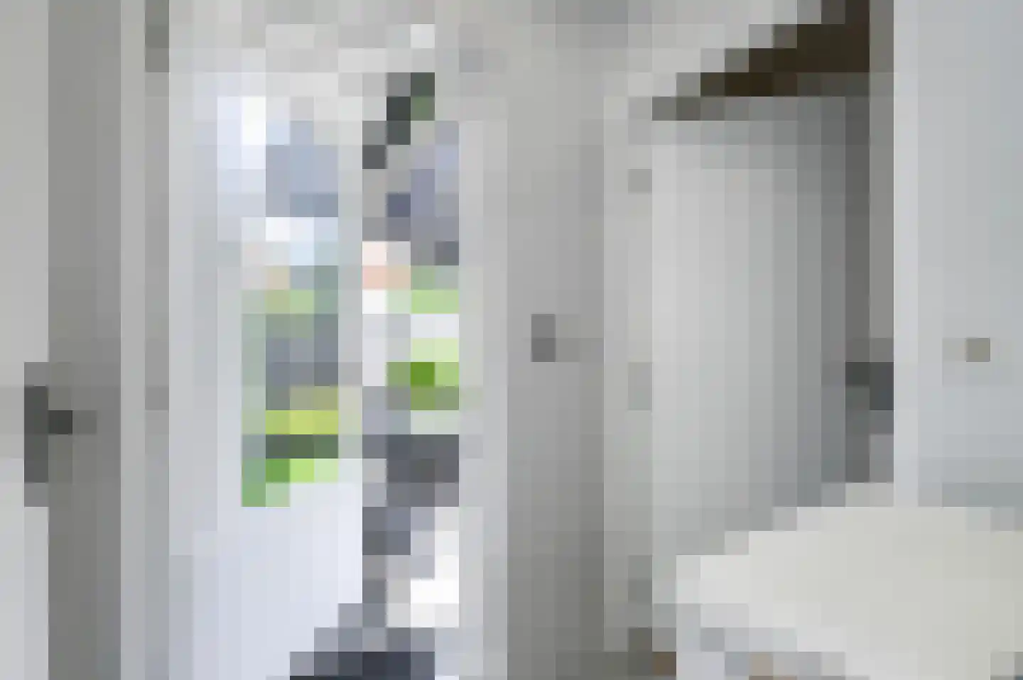 van Alphenstraat 22 Voorburg thumbnail 44