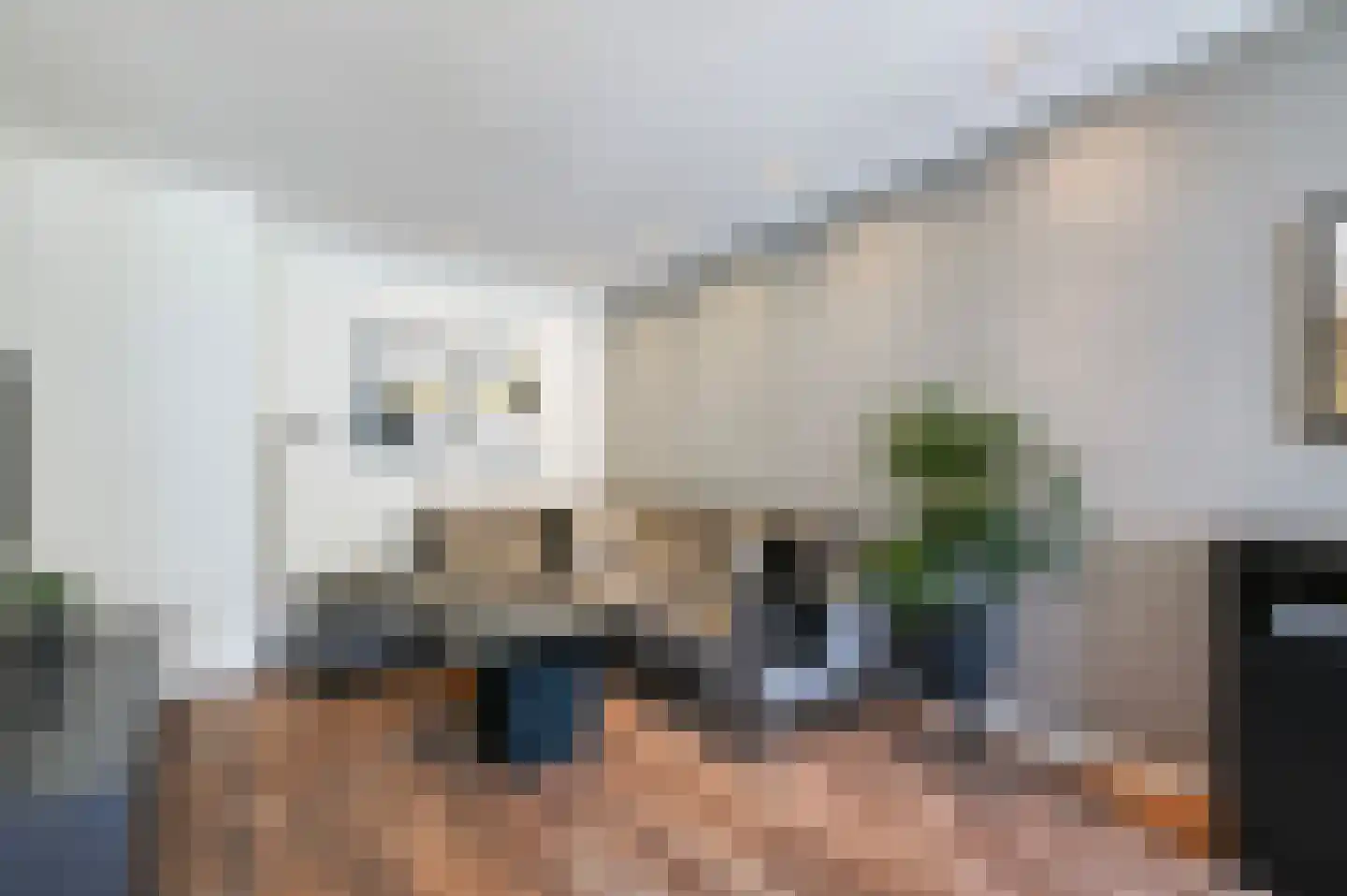 van Alphenstraat 22 Voorburg thumbnail 8